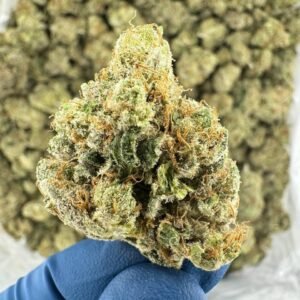 Buy Lemon Haze Strain Amsterdam