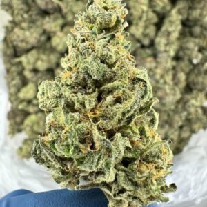 Buy OG Kush Weed Amsterdam