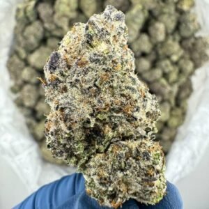 Buy Gorilla Glue In Amsterdam