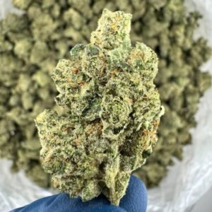 Where to Buy Jack Herer Amsterdam