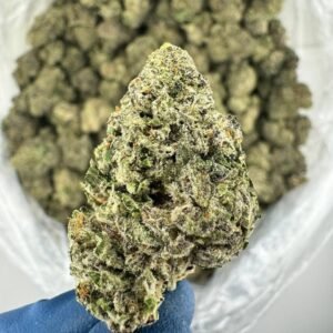 Buy Chemdawg in Amsterdam